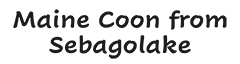 Maine Coons Sebagolake